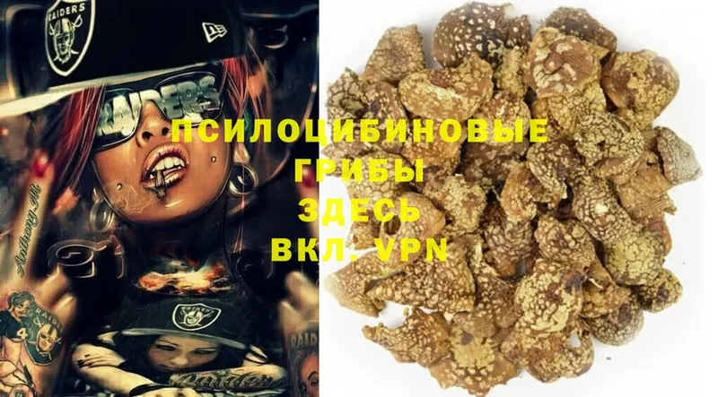 Галлюциногенные грибы MAGIC MUSHROOMS  как найти   Клин 